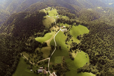Pohorje Mitja Verdnik v4