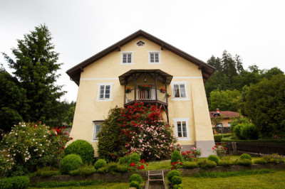 rozni dvor 1