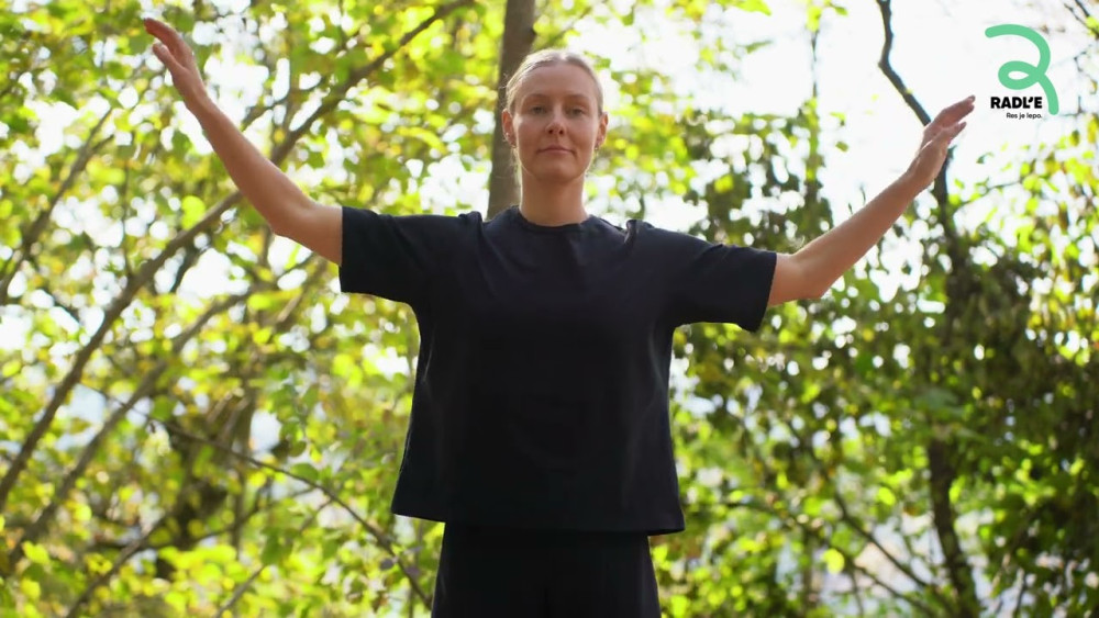 3. LET PTICE – Gibalna vaja lahkotnosti